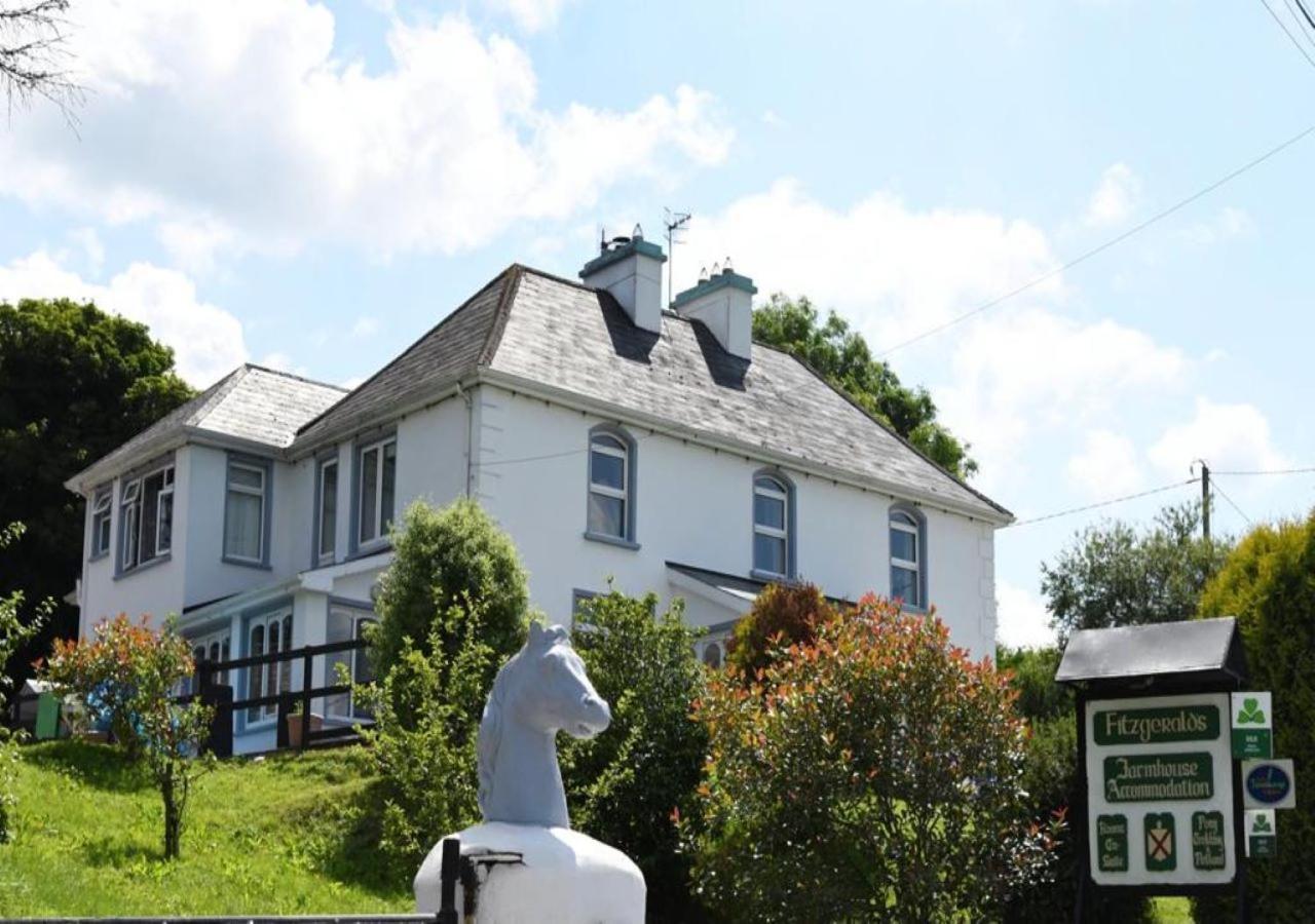 Fitzgerald'S Farmhouse Accommodation V94 Yy47 Abbeyfeale Luaran gambar