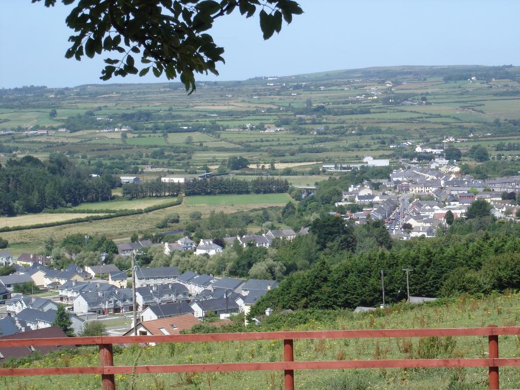 Fitzgerald'S Farmhouse Accommodation V94 Yy47 Abbeyfeale Luaran gambar